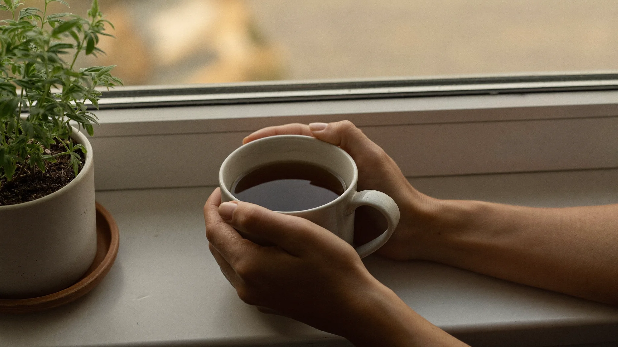 A calm morning ritual supporting healthy cortisol rhythm before completing at-home functional lab testing